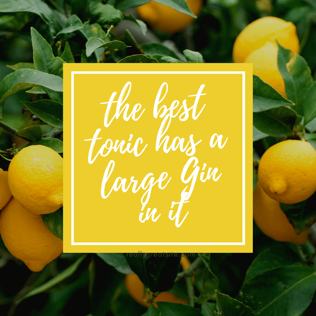 A dear friend gave me this quote which sits in my kitchen - she knows I LOVE a G T. There is a fantastic array of Gins to choose from today. Your gin and tonic can become an entirely new experience...